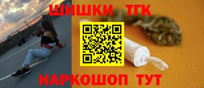 шишки Тара