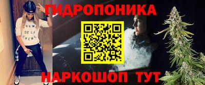 шишки Тара