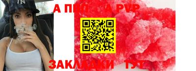 шишки Тара