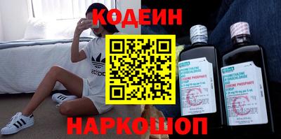 шишки Тара