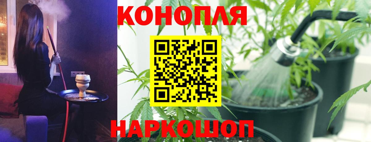 Бийск  МАРИХУАНА конопля  Шишки марихуана семена  Вход с VPN 